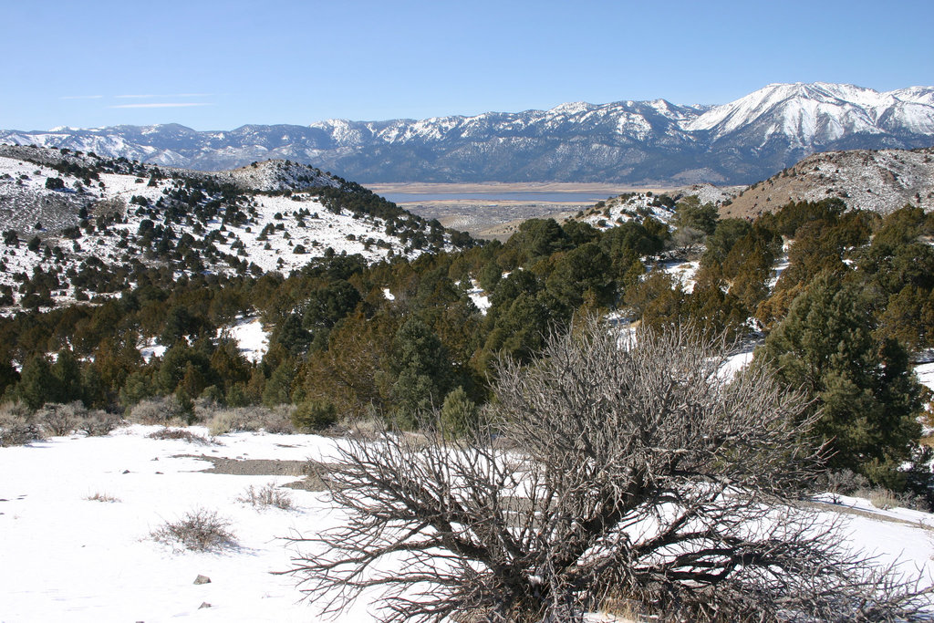 Washoe Lake & the Carson Range