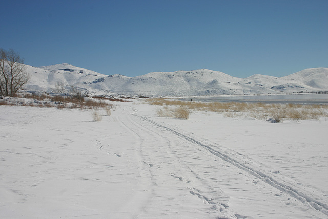 Washoe Valley