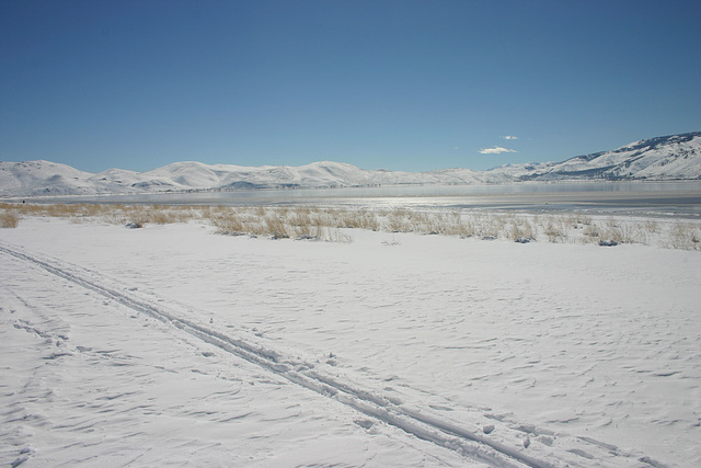 Washoe Valley