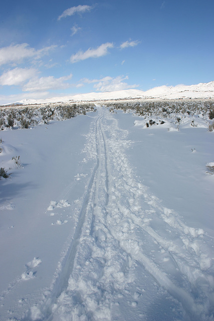 Washoe Valley