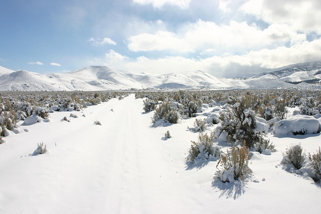 Washoe Valley