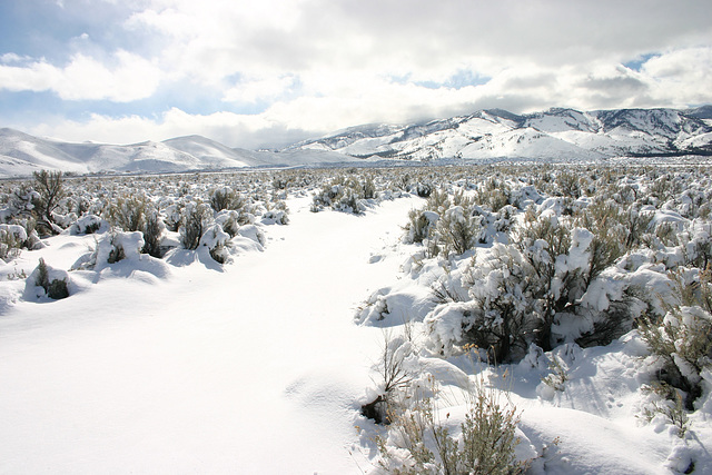 Washoe Valley