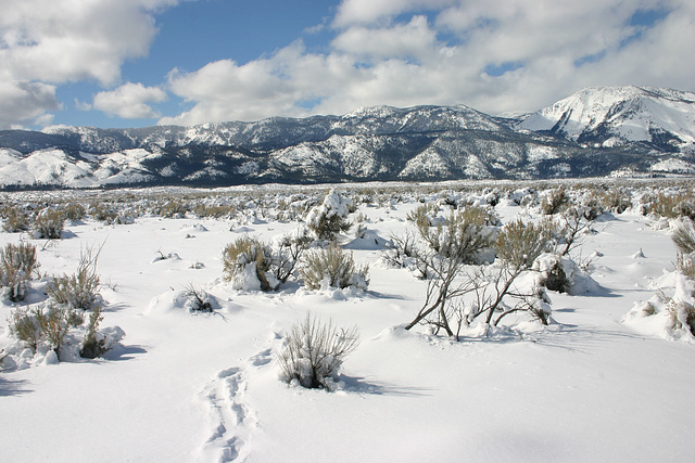 Washoe Valley