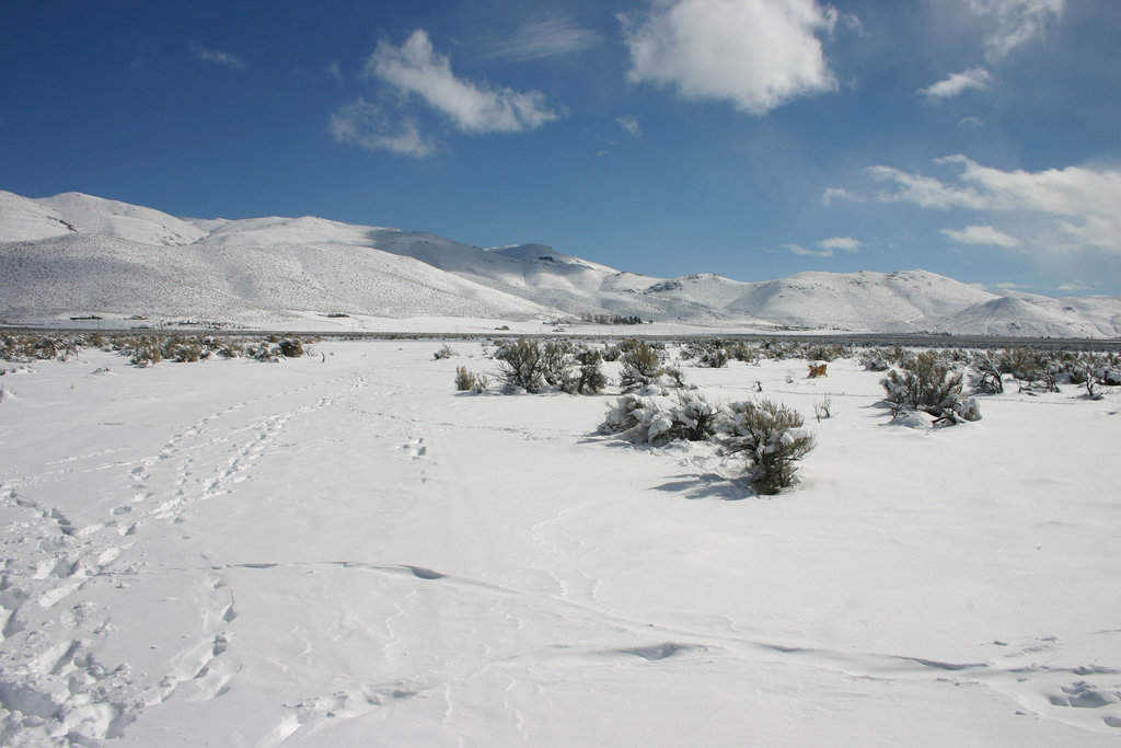 Washoe Valley