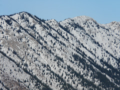 Eastern edge of the Rockies