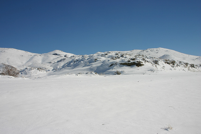 Washoe Valley