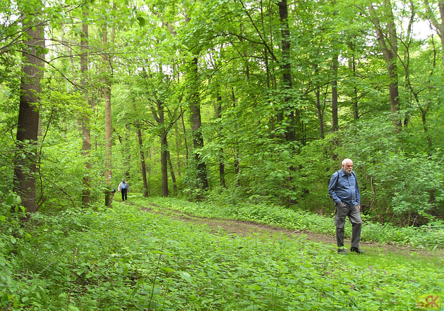 2013-05-11 043 Domholzschänke