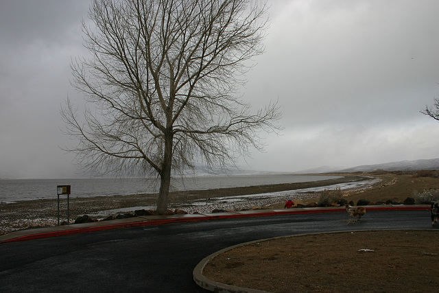 Washoe Lake snowstorm