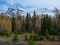 Larch Valley, Banff National Park