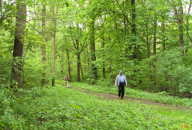 2013-05-11 044 Domholzschänke