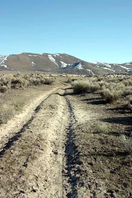 Washoe Lake State Park