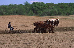 Plowing