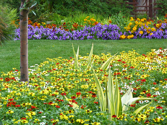 A little garden corner