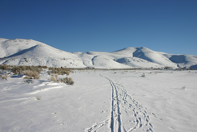 Washoe Valley