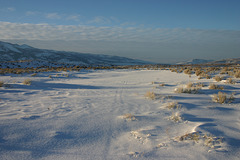 Washoe Valley