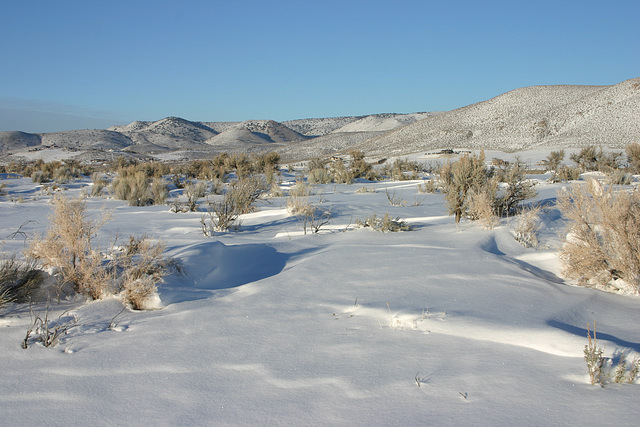 Washoe Valley