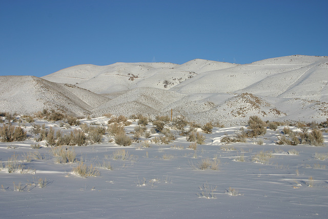 Washoe Valley