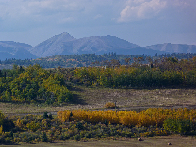 The changing seasons