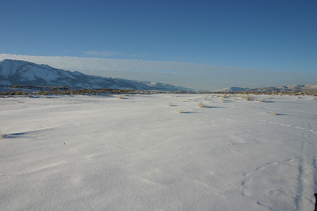 Washoe Valley