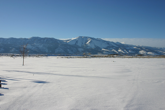 Washoe Valley