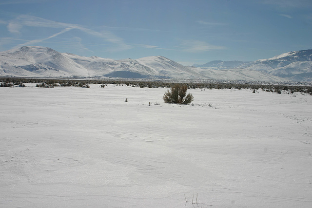 Washoe Valley, Nevada, USA