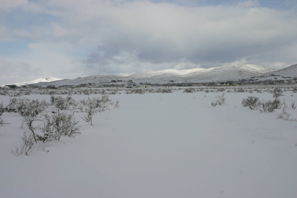 Washoe Valley