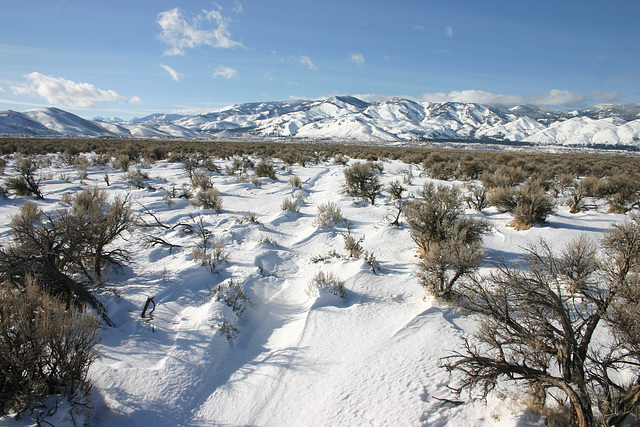 Washoe Valley