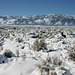 Washoe Valley