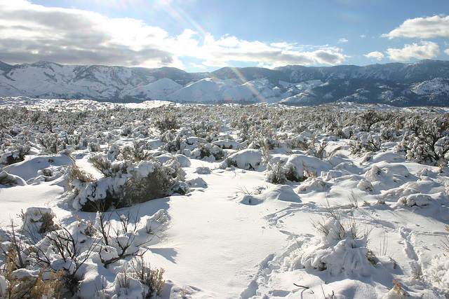 Washoe Valley