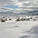 Washoe Valley