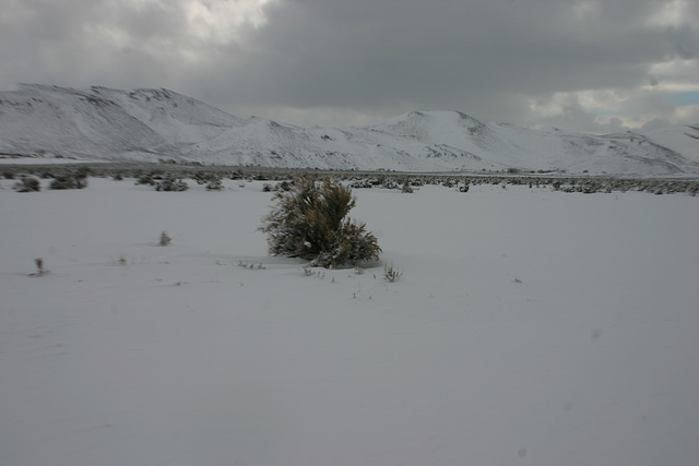 Washoe Valley