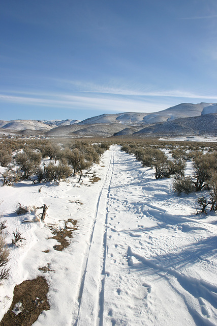 Washoe Valley