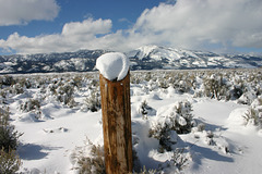 Washoe Valley