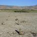 Washoe Valley causeway