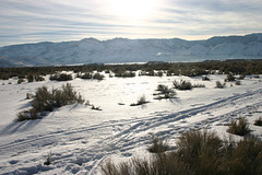 Washoe Valley