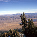 Washoe Valley View