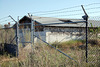 DSC_0046_adj