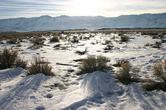 Washoe Valley