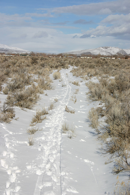 Washoe Valley