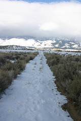 Washoe Valley