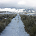 Washoe Valley