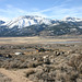 Washoe Valley view