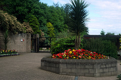 Belfast Zoo Flowers