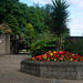 Belfast Zoo Flowers