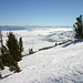 Pogonip from Slide Mountain.