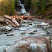 Racehorse Creek Falls