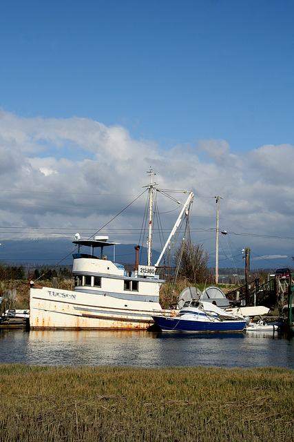 Near Edison, Washington