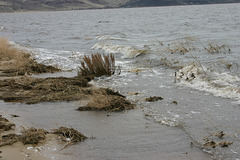 Washoe Lake