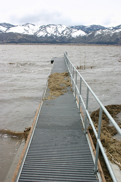 Jetty in Washoe Lake