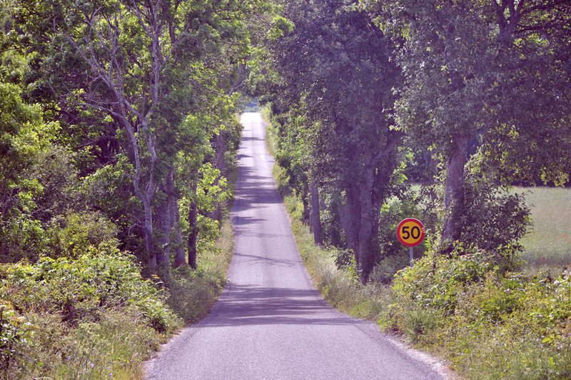 50km/h